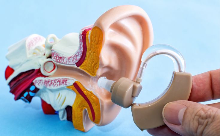Hearing aid attached to a detailed model of an ear on a blue background